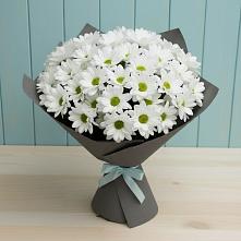 Букет цветов из:  Хризантемы #REPLACE_PRED# Таловой