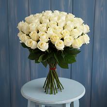 Букет 51 Белая роза Эдлесс Лав #REPLACE_PRED# Таловой