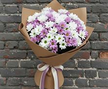 Букет цветов из:  Хризантемы #REPLACE_PRED# Таловой