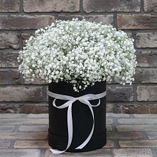 Цветочная композиция из Гипсофила в шляпной коробке в Таловой