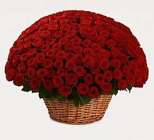 Премиум букет из: Розы в Таловой